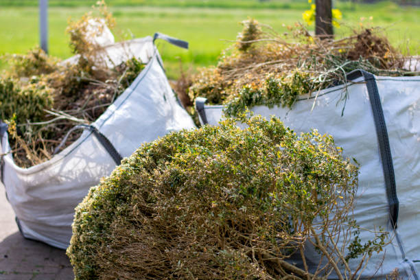 Best Yard Cleanup Services  in Lakeview, WA